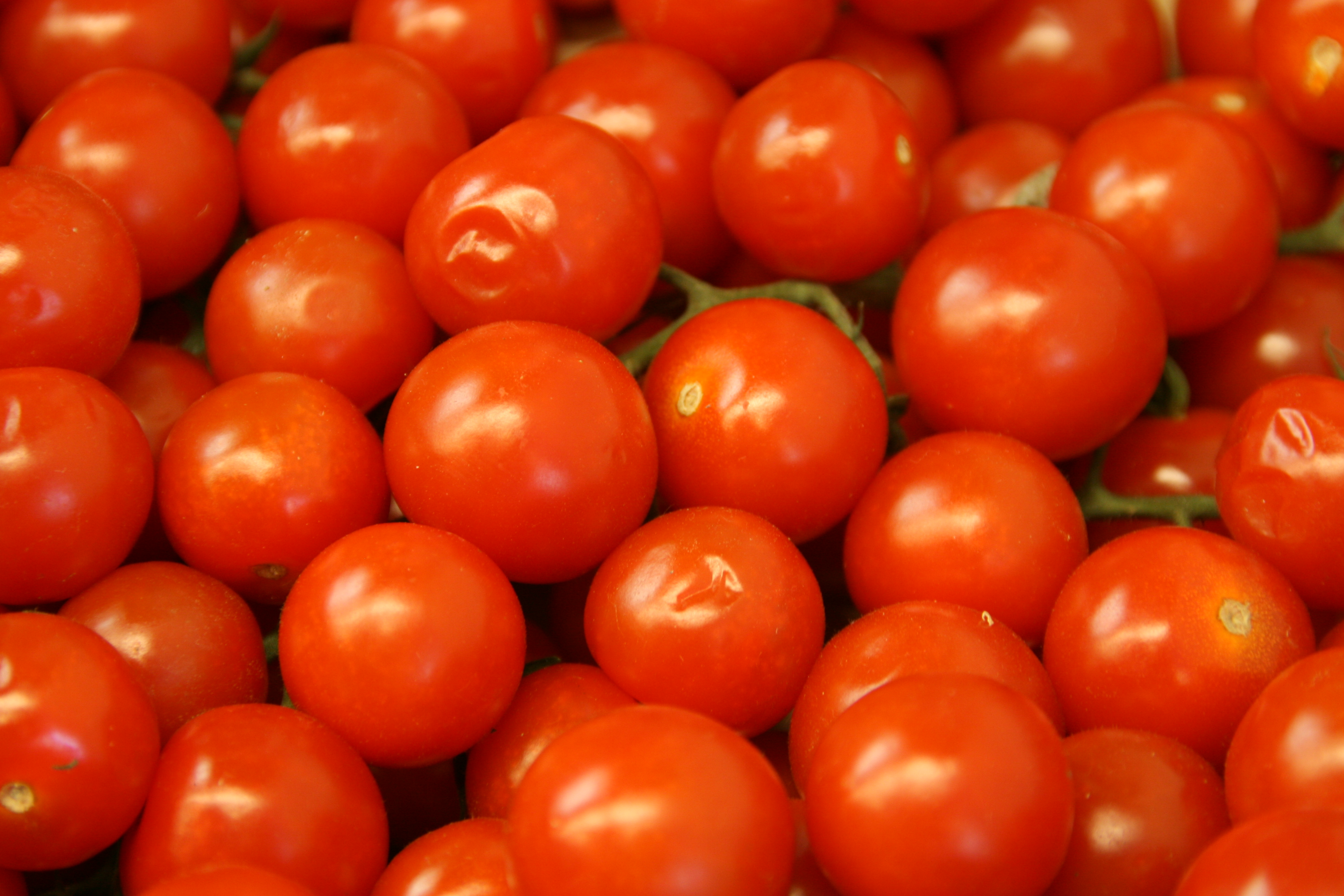 tomato texture