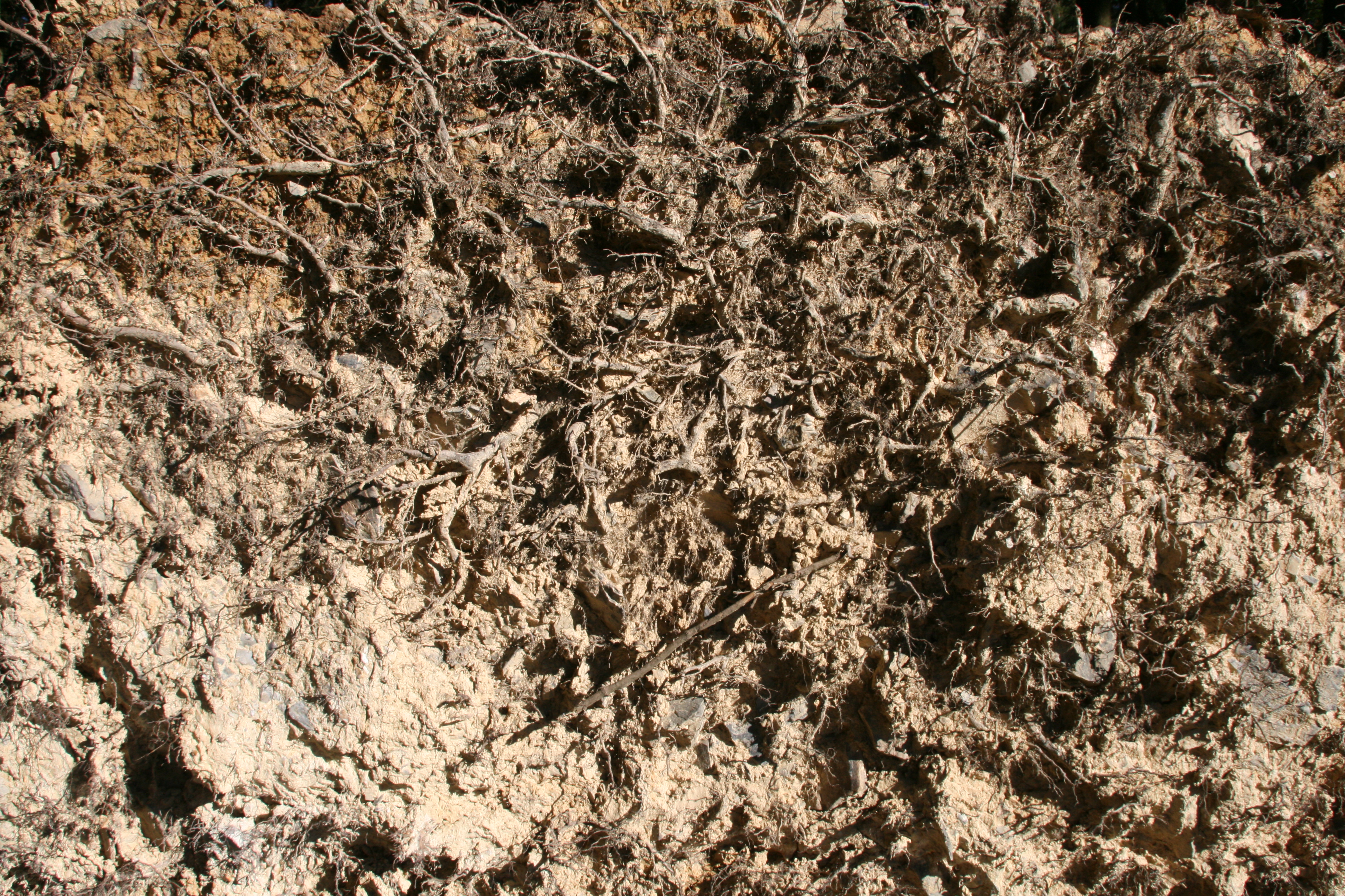 dry mud texture