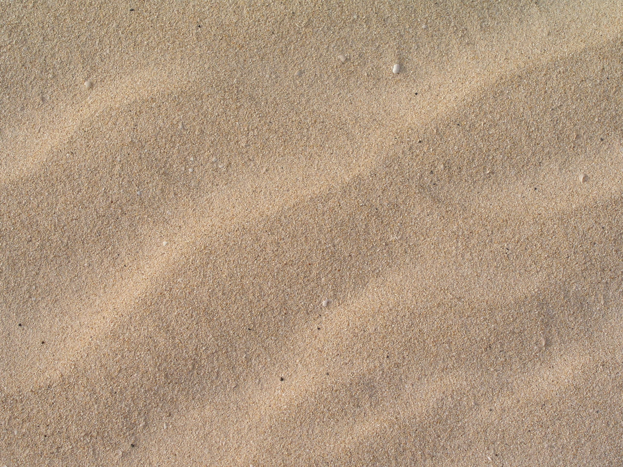 Sand Texture