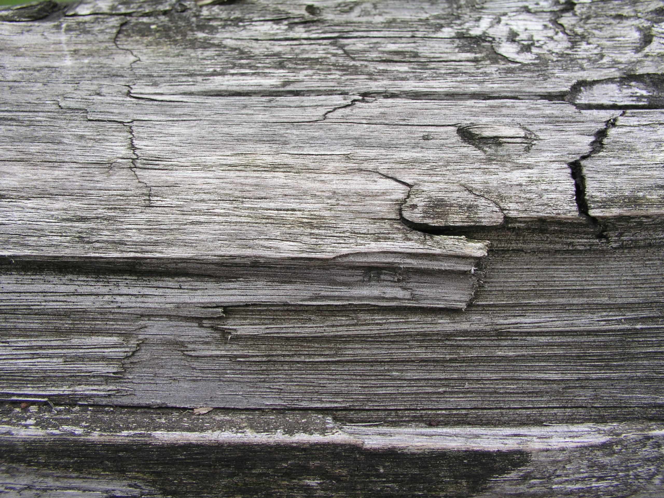 High QualityUntreated Wood Textures - Untreated Coarse Wood Textures ...